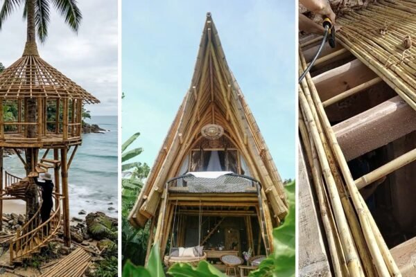 10 Fun Bamboo House Design For Small Spaces That Feel Cozy