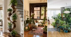 10 Fun Living Room Plants Decor Ideas That Feel Cozy