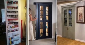 25 Cool Pantry Doors Ideas Kitchen Ideas for Any Home